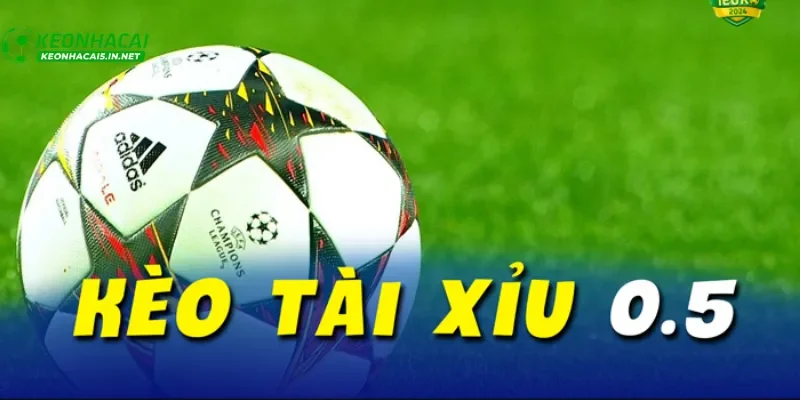 Chiến lược đặt cược tài xỉu hiệu quả cho người mới