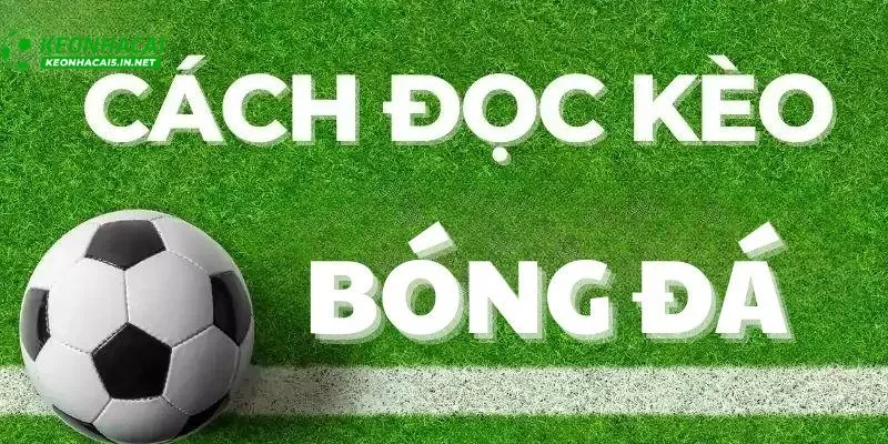 Loại hình kèo nhà cái phổ biến và cách hoạt động cơ bản